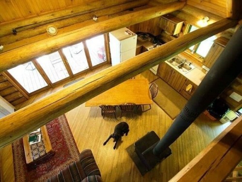 A cozy wooden cabin interior with a dining table, kitchen, and a dog resting on the floor.