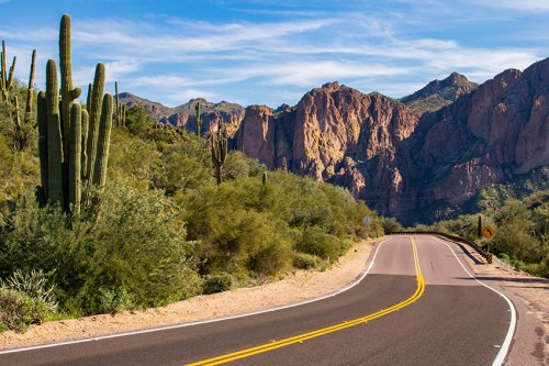 A winding road through a desert landscape with tall cacti and rocky mountains under a clear blue sky.