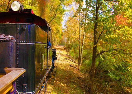 A vintage train travels along a scenic, tree-lined track in vibrant autumn colors.