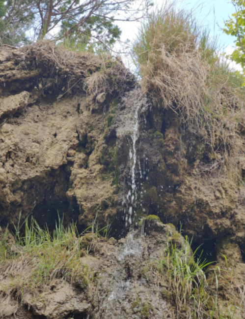 A small waterfall cascading down a rocky cliff, surrounded by grass and vegetation.