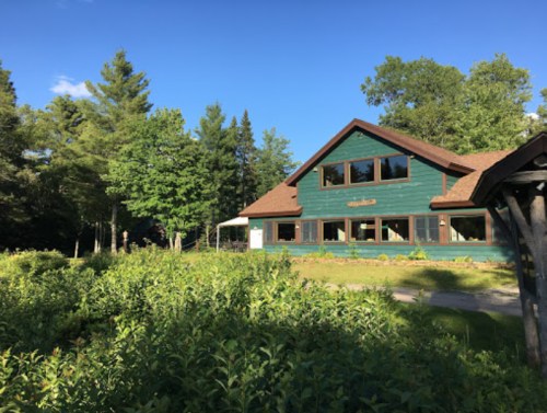 A green cabin surrounded by trees and shrubs, with large windows and a sloped roof under a clear blue sky.