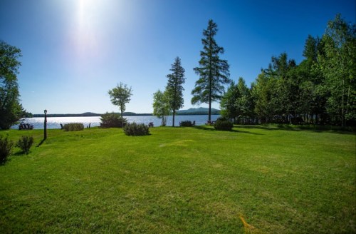 A serene lakeside view with lush green grass, trees, and a clear blue sky reflecting on the water.