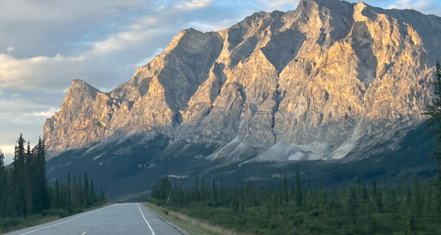 A scenic view of a mountain range bathed in golden light, with a road and dense forest in the foreground.