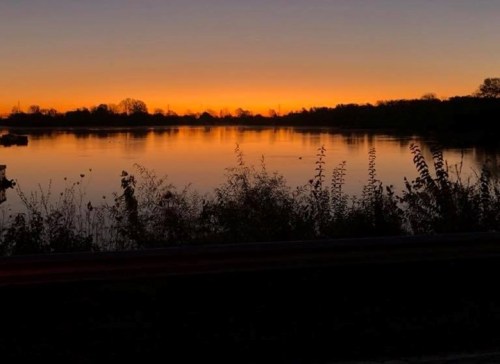 A serene sunset over a calm lake, with silhouettes of trees and plants along the shoreline.