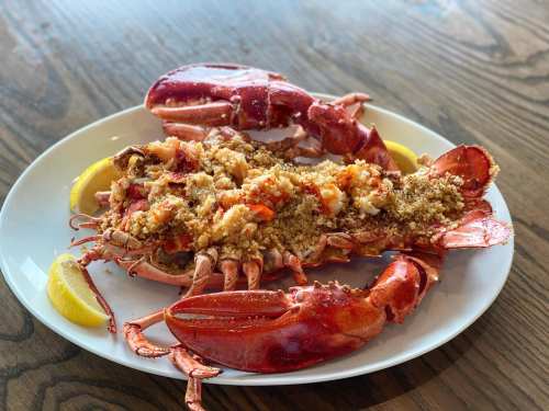 A plate of baked lobster topped with breadcrumbs, garnished with lemon wedges, on a wooden table.