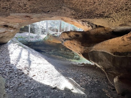 A sunlit cave entrance with rocky walls and a forested area in the background, casting shadows on the ground.