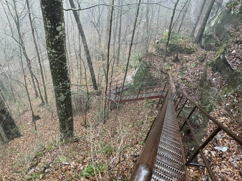 A winding metal staircase descends through a foggy forest with bare trees and fallen leaves.