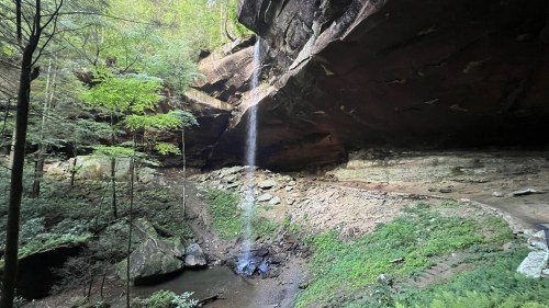 A serene waterfall cascades from a rocky overhang into a lush, green forested area.
