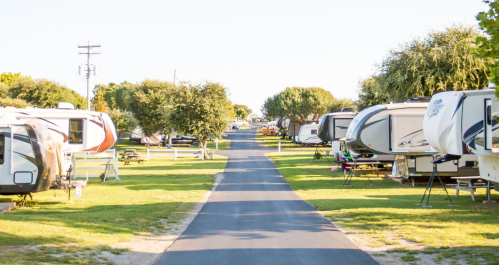 A wide path lined with RVs in a grassy campground under a clear sky. Trees are visible on either side.