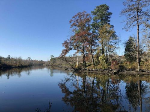 A serene lake surrounded by trees, reflecting autumn colors under a clear blue sky.