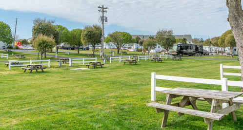A grassy park area with picnic tables, white fences, and trees, featuring RVs in the background under a cloudy sky.