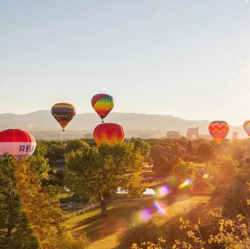 Colorful hot air balloons float over a scenic landscape at sunrise, with trees and mountains in the background.