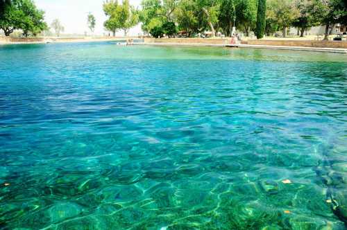 A serene, clear blue swimming area surrounded by trees and grassy banks on a sunny day.