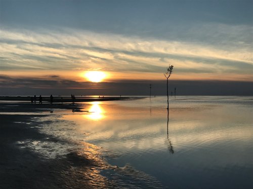 A serene sunset over a calm sea, with a lone tree reflected in the water and silhouettes of people in the distance.