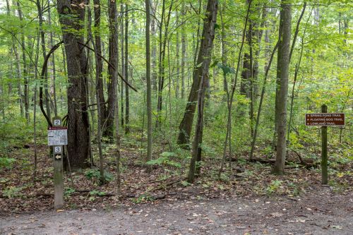 Trail intersection in a wooded area, with signs for Spruce Pond Trail, Flowing Brook Trail, and Loblolly Trail.