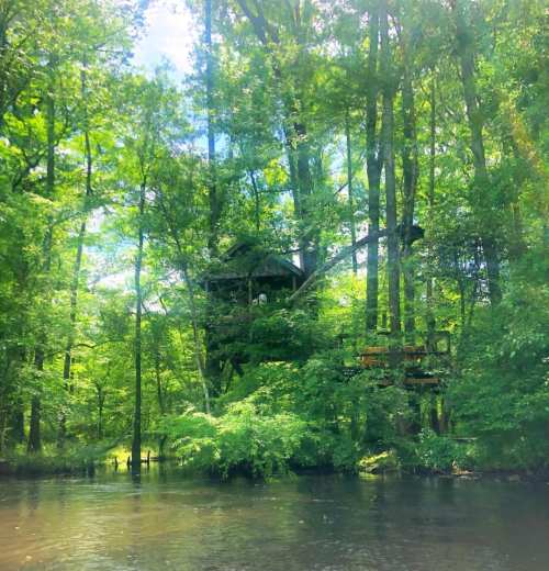 A treehouse nestled among lush green trees beside a calm river under a bright blue sky.