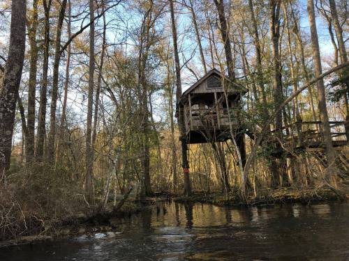A treehouse perched above a calm river, surrounded by tall trees and a serene natural landscape.