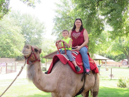 A woman and a child ride a camel in a sunny outdoor setting with trees and a petting zoo in the background.