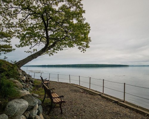 A serene lakeside scene with a bench, a tree, and calm waters under a cloudy sky.