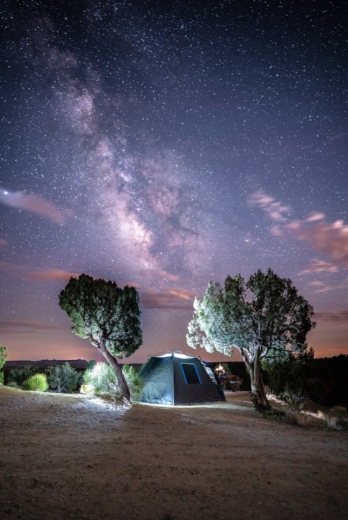 A tent under a starry sky with the Milky Way visible, surrounded by trees in a serene outdoor setting.