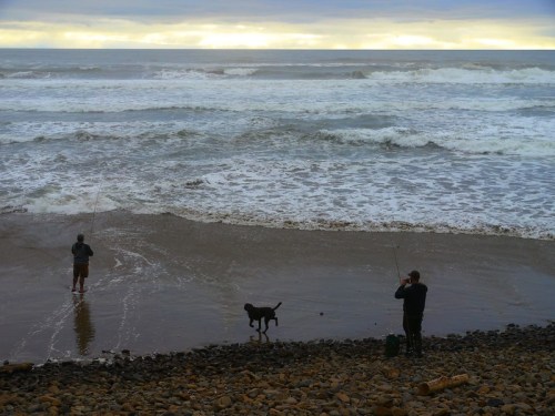 Two people stand on a beach, one fishing and the other taking a photo, with a dog running nearby and waves crashing.