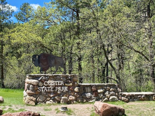 Sign for Custer State Park featuring a bison sculpture, surrounded by trees and greenery.