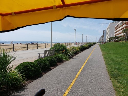 View from under a yellow canopy, showing a beach path lined with greenery and benches, leading to the ocean.
