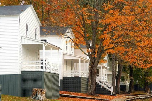 White houses with porches beside a tree with vibrant orange leaves in autumn.