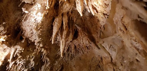 Stalactites and stalagmites in a dimly lit cave, showcasing intricate rock formations.