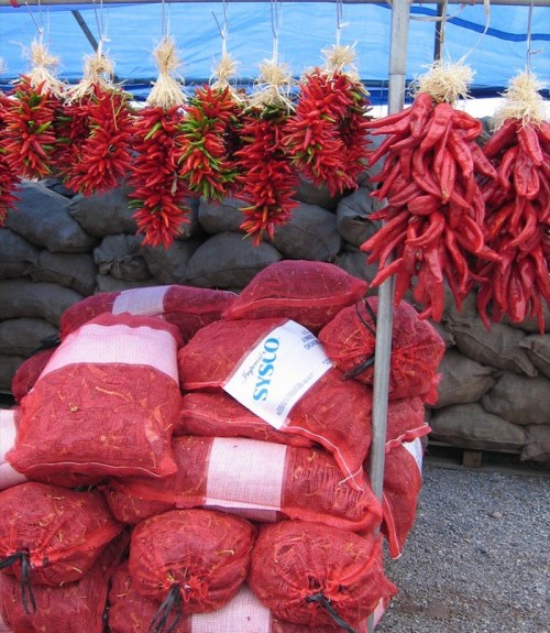Bunches of red chilies hang above bags of dried chilies at a market stall.