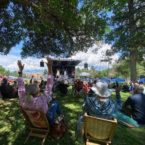 Audience enjoying a live performance outdoors, with hands raised, under a tree on a sunny day.