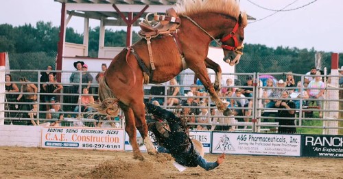 A cowboy falls off a bucking horse during a rodeo event, with a crowd watching in the background.