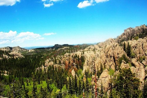 A panoramic view of rugged rock formations surrounded by lush green forests under a bright blue sky.