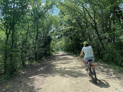 A person rides a bicycle on a dirt path surrounded by lush green trees on a sunny day.