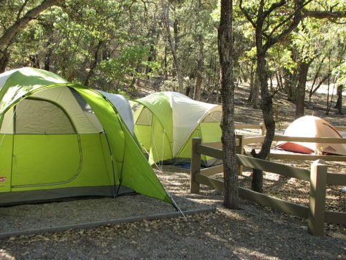 A campsite with several tents set up among trees, surrounded by gravel and a wooden fence.
