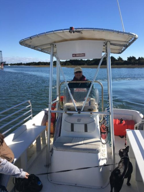 A person steering a boat on a calm waterway, with two dogs on leashes nearby. Clear blue sky in the background.