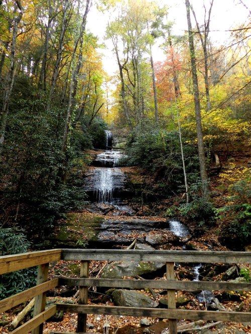 A serene waterfall cascades down rocky steps, surrounded by vibrant autumn foliage and tall trees.