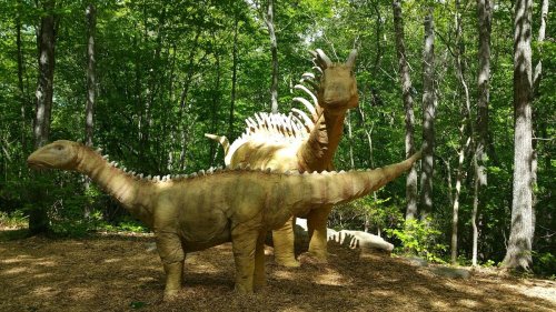 Two large dinosaur sculptures in a forested area, surrounded by trees and natural foliage.