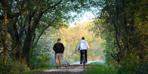A man walks a dog while a woman rides a bike along a tree-lined path in a serene outdoor setting.