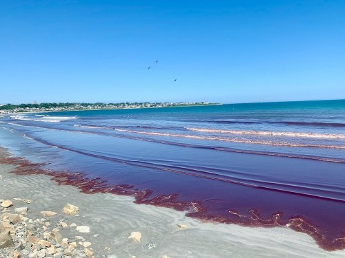 A serene beach scene with calm blue waters and a reddish tint along the shoreline under a clear blue sky.