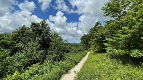 A scenic view of a gravel path winding through lush greenery under a partly cloudy sky.
