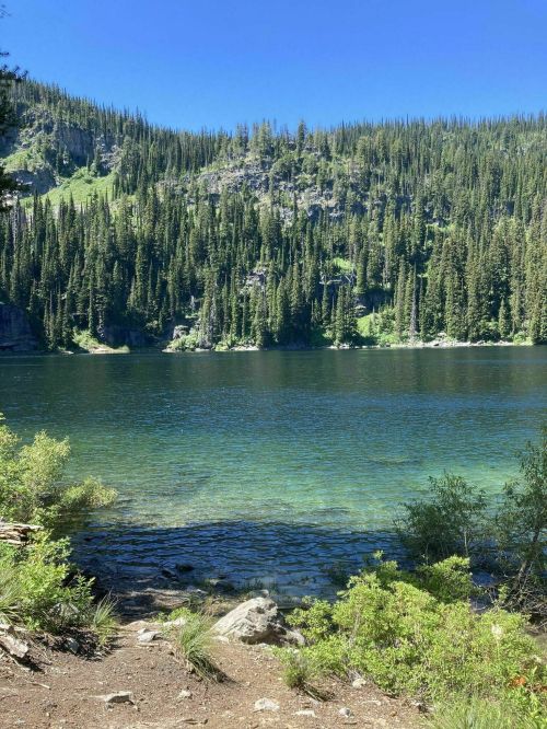 A serene lake surrounded by lush green trees and rocky hills under a clear blue sky.