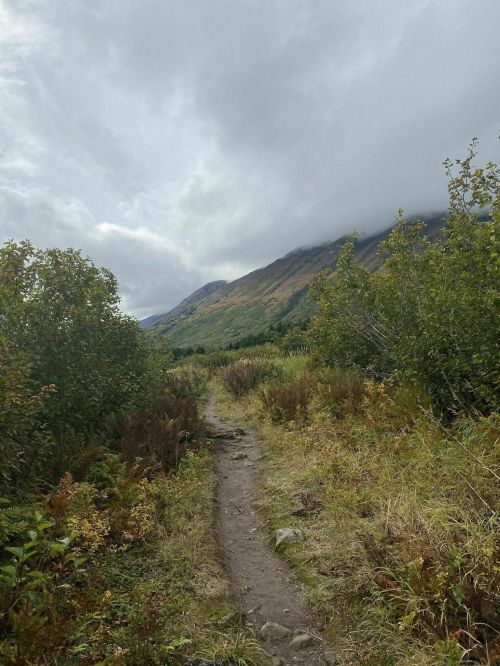A winding dirt path through lush greenery, leading towards a mountain under a cloudy sky.