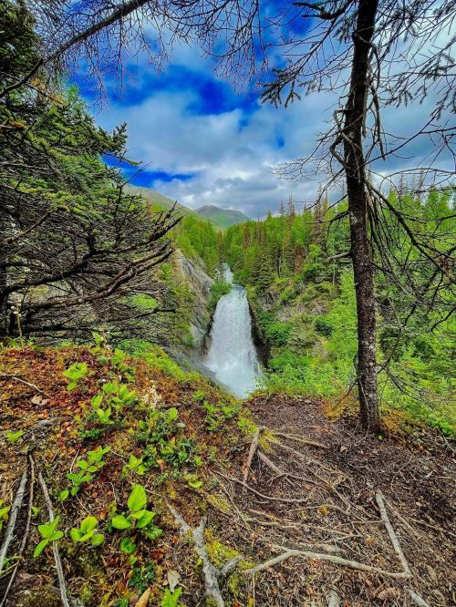 A scenic waterfall cascades down rocky cliffs, surrounded by lush greenery and tall trees under a cloudy sky.