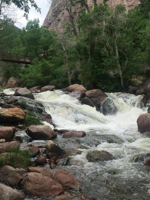 A rushing river flows over rocks, surrounded by lush green trees and a wooden bridge in the background.