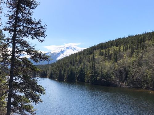 A serene lake surrounded by lush green trees and snow-capped mountains under a clear blue sky.