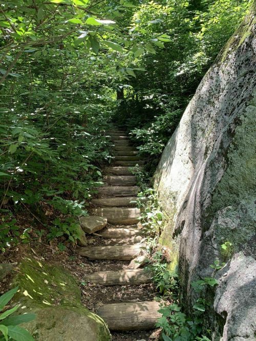 A narrow, wooded path with wooden steps leading through lush greenery and large rocks.