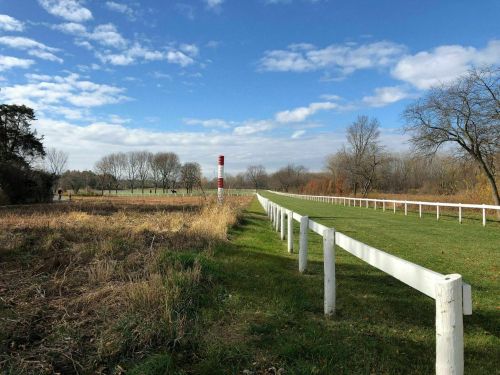 A grassy path lined with a white fence, leading through a field under a blue sky with scattered clouds.