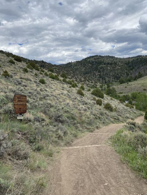 A dirt path winds through a grassy hillside with shrubs and trees, under a cloudy sky. A wooden sign is visible nearby.