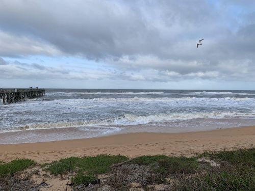 A sandy beach with waves crashing, a pier in the distance, and a seagull flying under a cloudy sky.